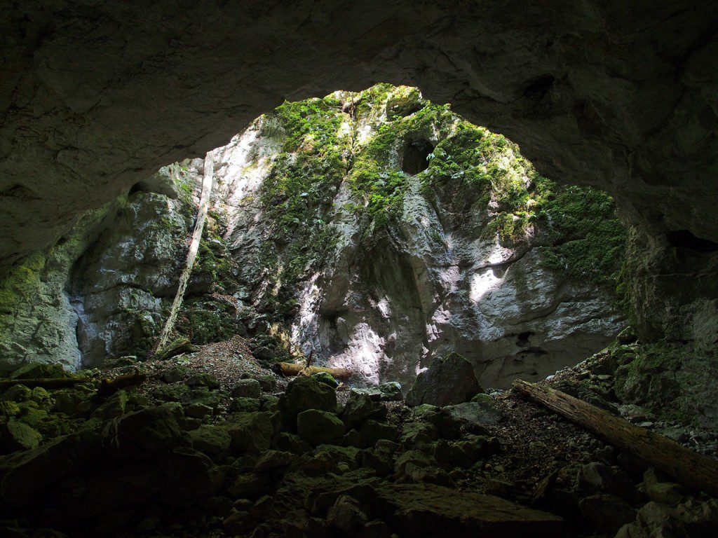 Tra grotte e torrenti: Rakov Škocjan d'estate 10 Un'altro ramo delle Zelške jame di Rakov Škocjan.