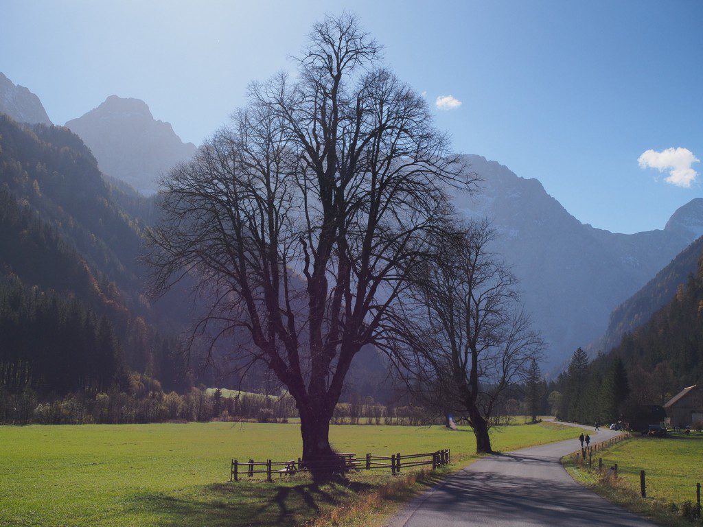 Logarska dolina