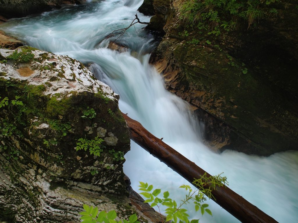 Le gole di Vintgar, una meraviglia della natura a due passi da Bled.