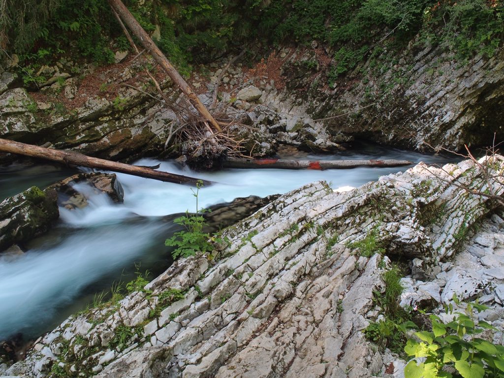A due passi da Bled, le gole di Vintgar 6 Soteska Vintgar