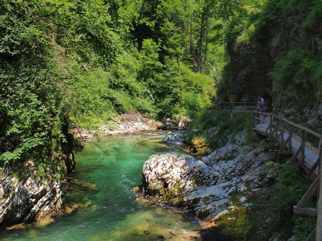 A due passi da Bled, le gole di Vintgar 13 Soteska Vintgar