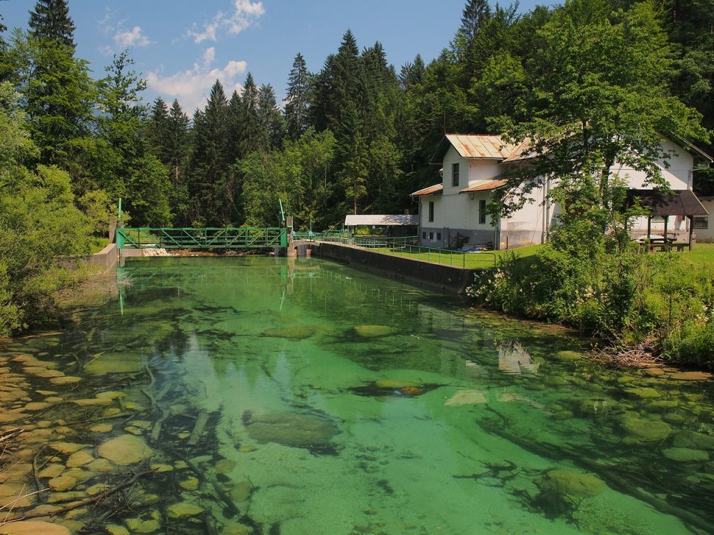 A due passi da Bled, le gole di Vintgar 12 Soteska Vintgar