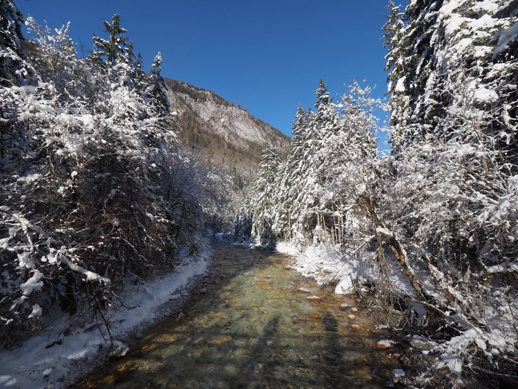 Slap Peričnik, una meraviglia per tutte le stagioni! 5 La Triglavska bistrica in inverno - Slap Peričnik