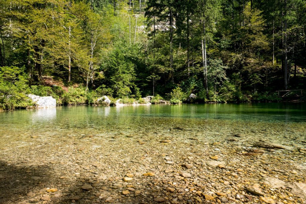 Chiare, fresche acque: a spasso per Kamniška Bistrica 5 La sorgente del torrente Bistrica, a Kamniška Bistrica