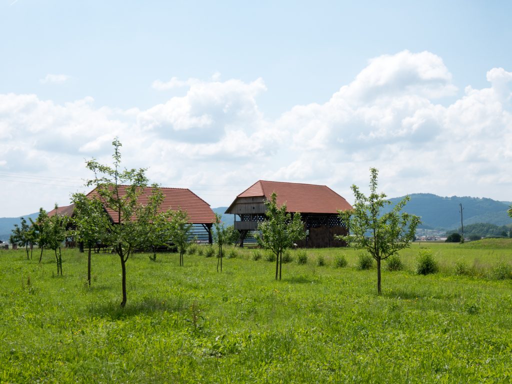 Museo dei Kozolec - Šentrupert