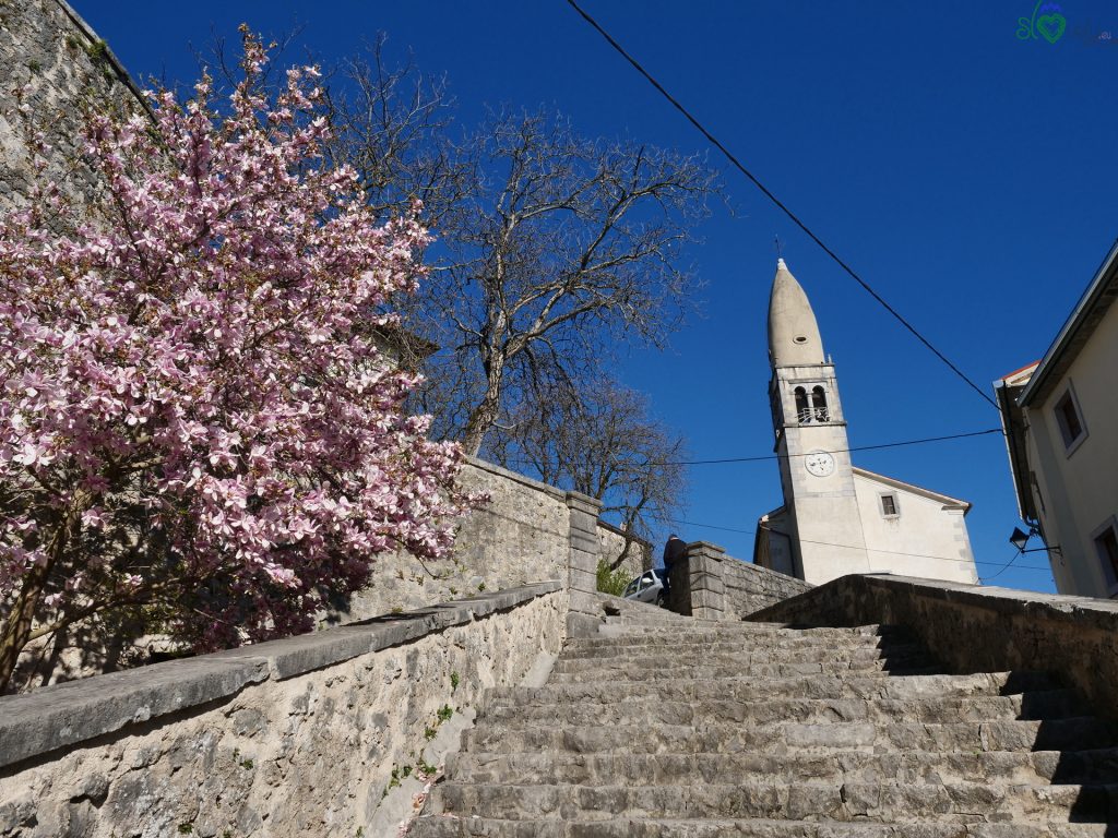 Coroncine di San Giovanni, la magia di Štanjel 5 Štanjel - la parrocchiale di San Daniele