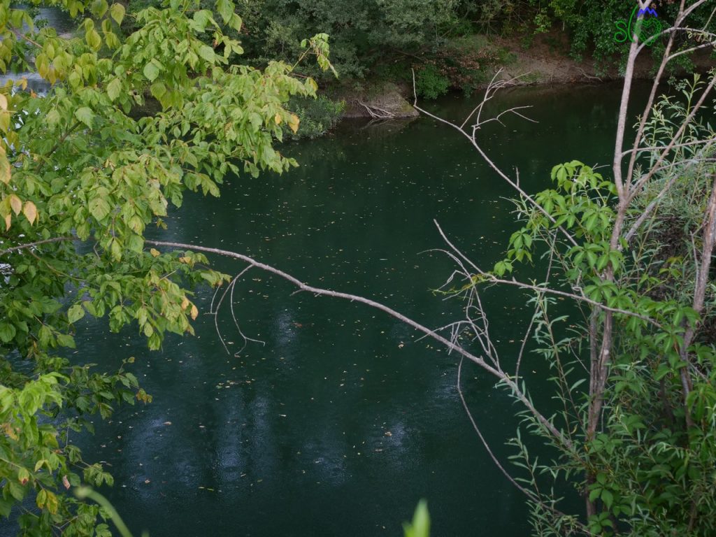 Una SUPer avventura con Vipava SUP Adventure 10 La natura incontaminata del fiume Vipacco/Vipava