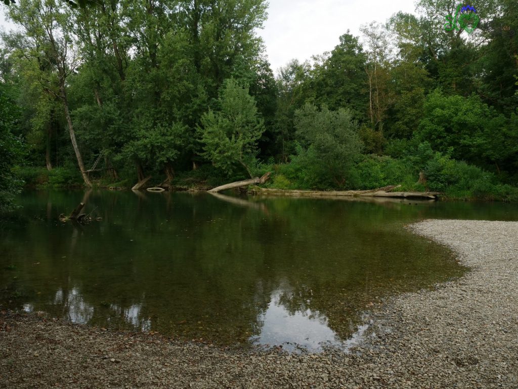 Una SUPer avventura con Vipava SUP Adventure 9 La natura incontaminata del fiume Vipacco/Vipava