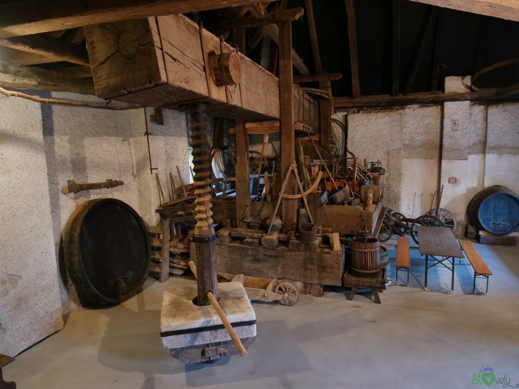 La festa di San Martino a Ormož 13 La pressa gigante della cantina Temnar
