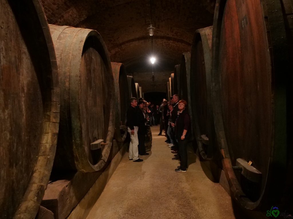 La festa di San Martino a Ormož 14 L'interno della cantina Temnar