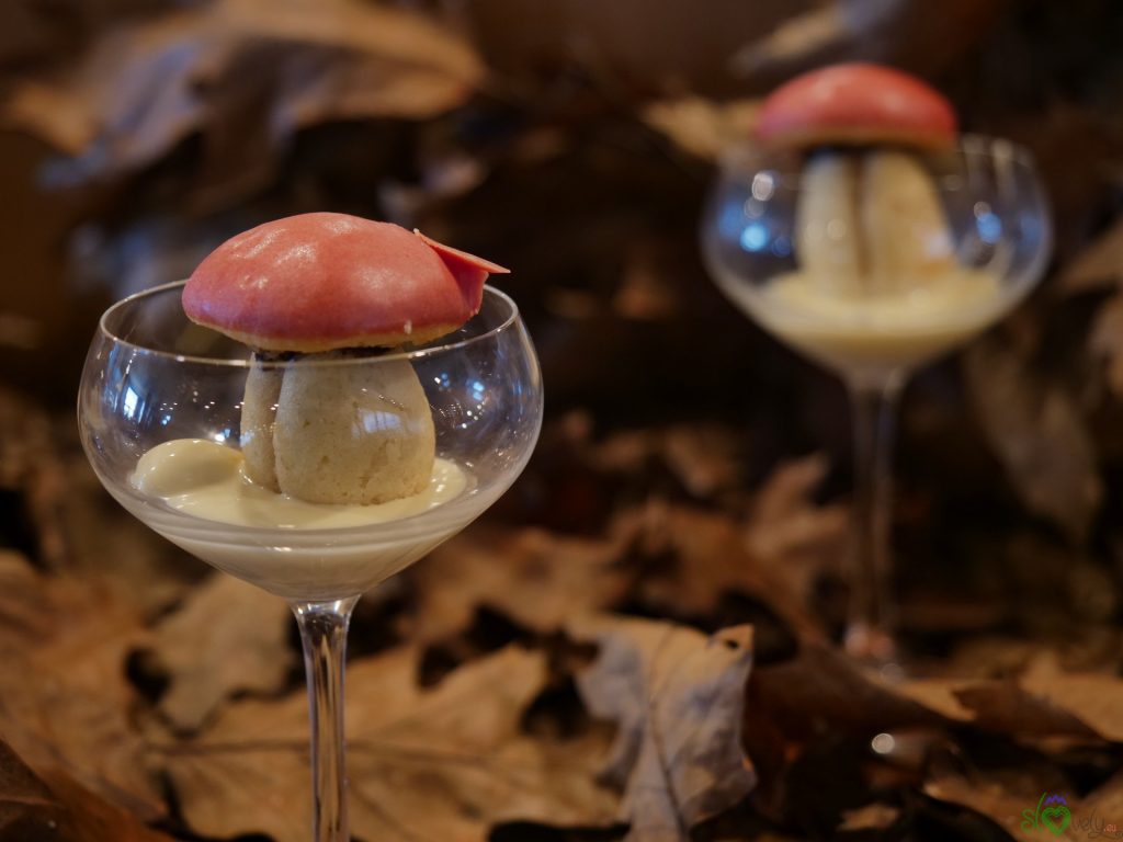 Ptuj, antico luogo di-vino 21 Funghetti belli e buoni!