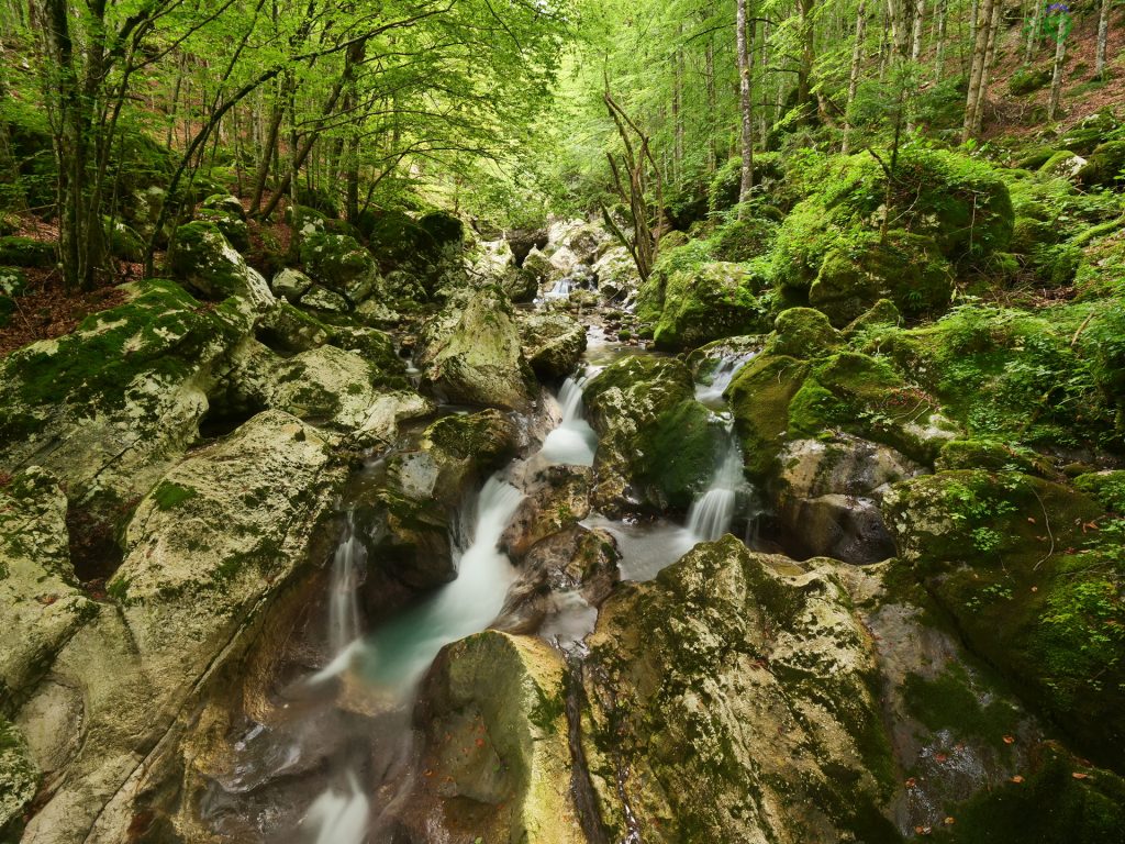 Šunikov vodni gaj, il bosco delle acque nella valle Lepena.
Isonzo - Soča