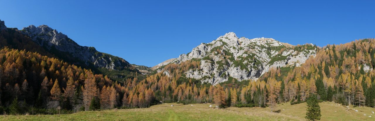 Viševnik
