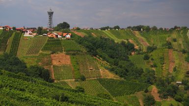 Le Lendavske Gorice