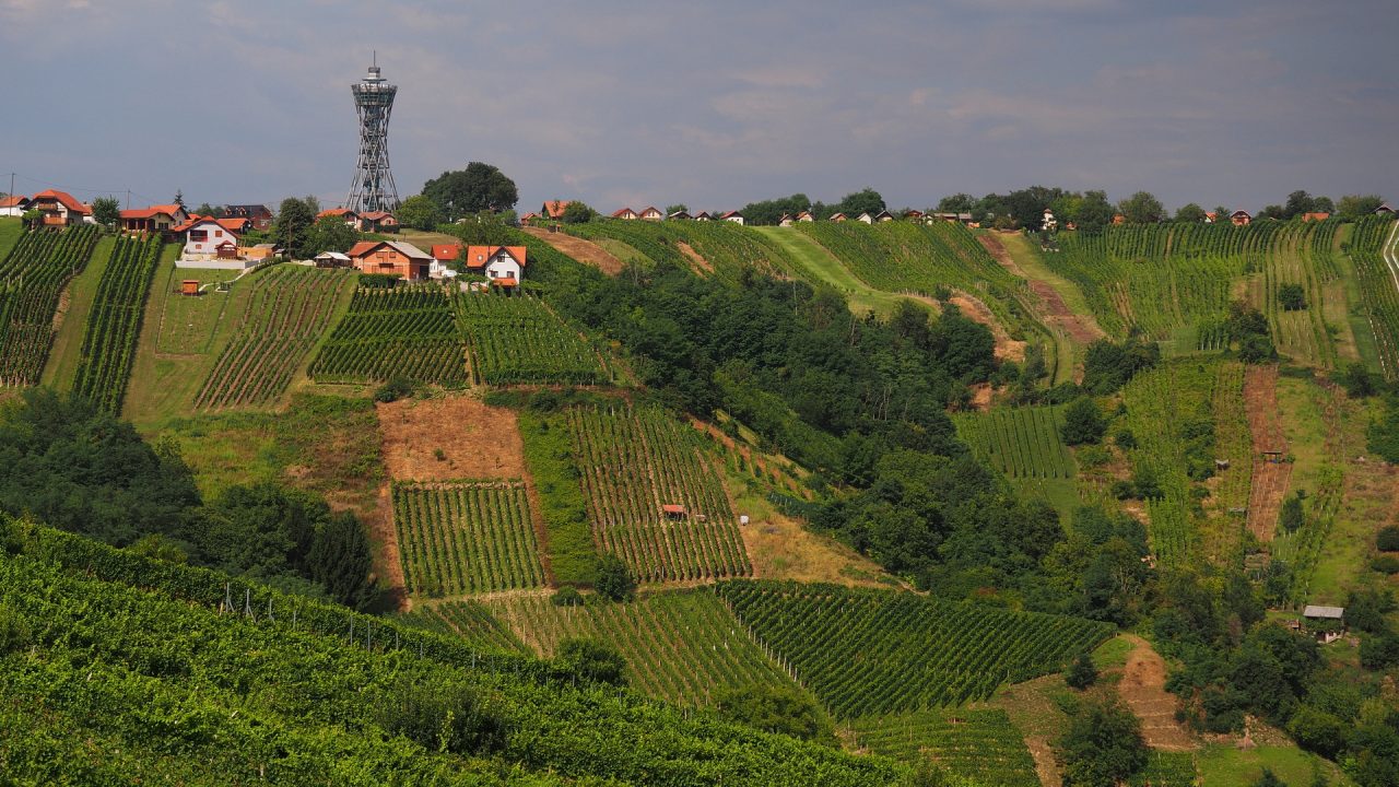 Le Lendavske Gorice
