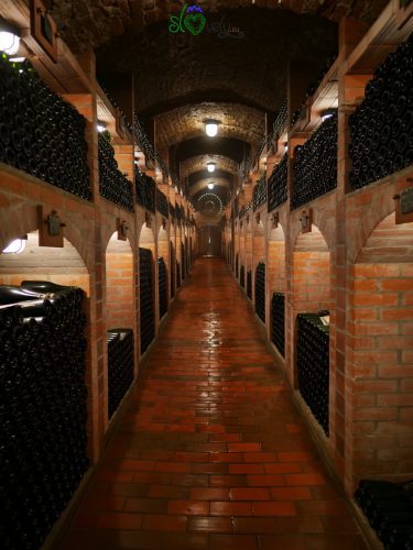 15 cose da fare in Pomurje 1