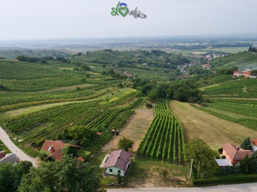 15 cose da fare in Pomurje 3
