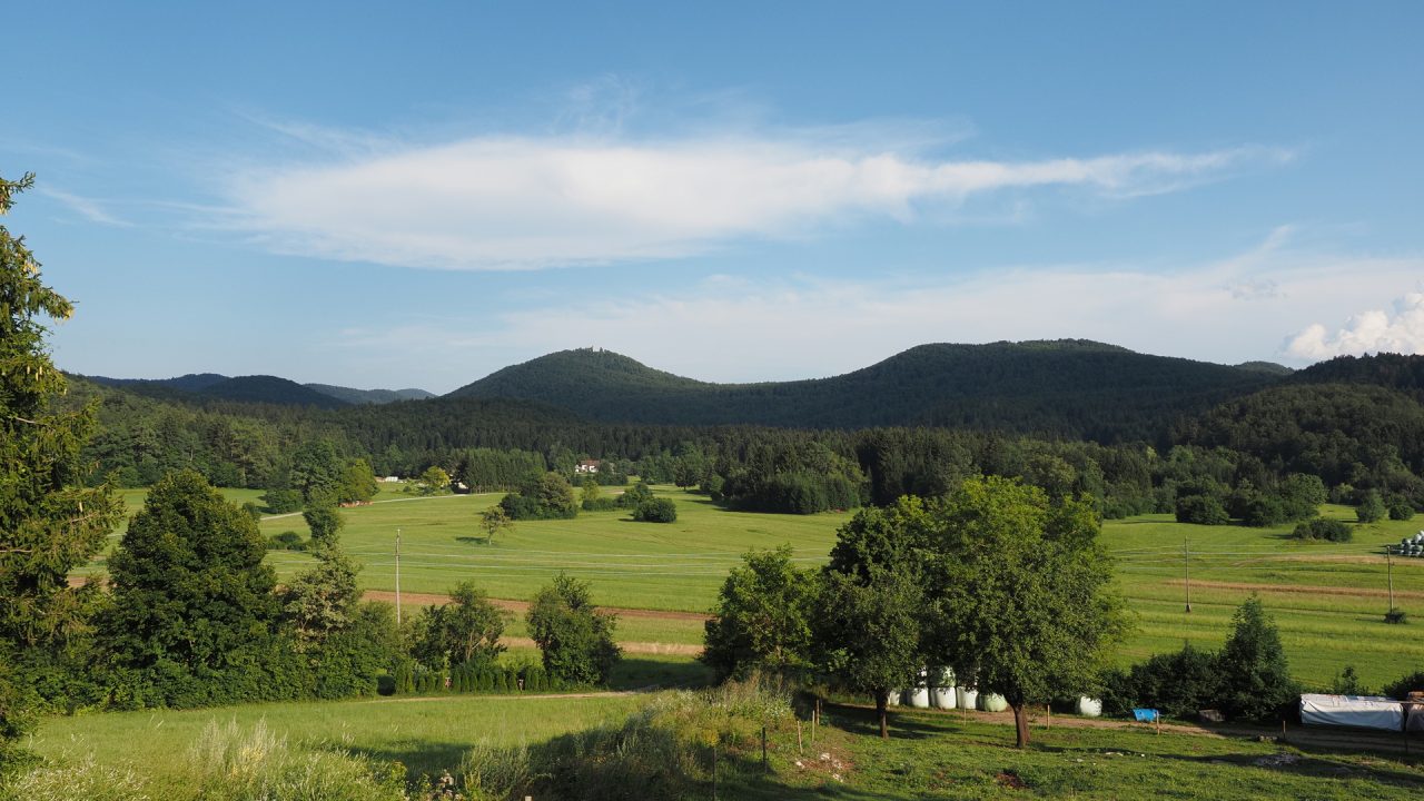 Zeleni Kras - Carso Verde