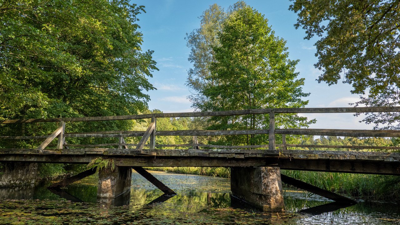 Un ponte di legno sulla Lahinja in Bela krajina.