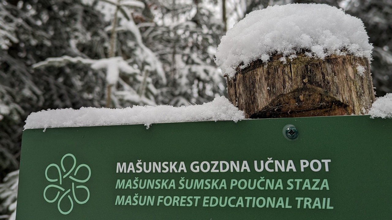 Il sentiero tematico boschivo di Mašun.