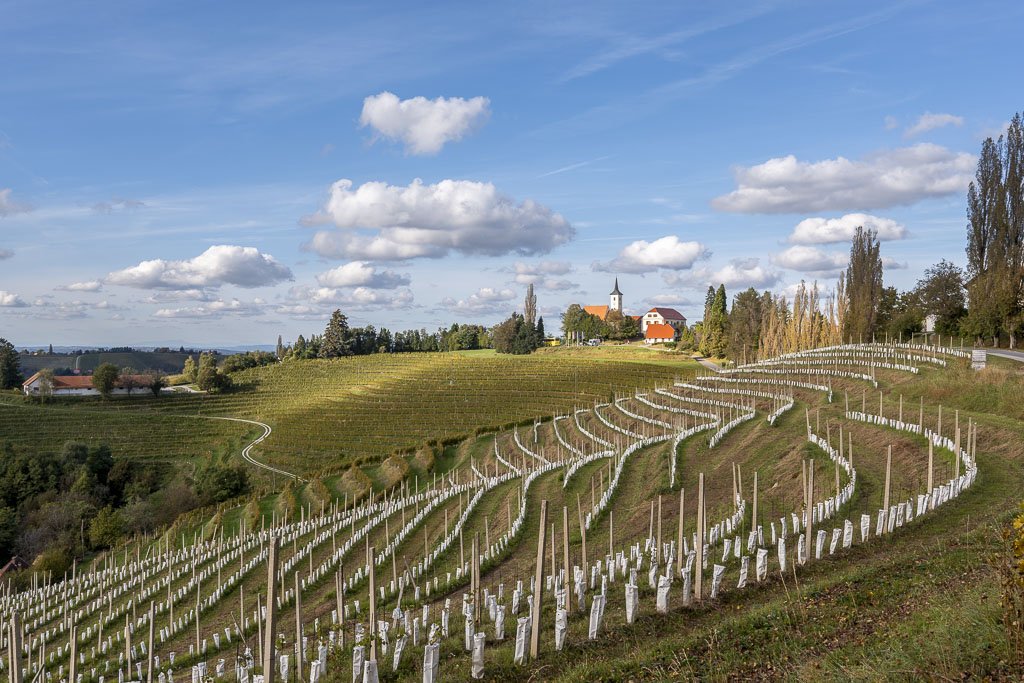Alla scoperta della Prlekija tra vino e relax 5 I vigneti e la chiesa di Jeruzalem, cuore della Prlekija.