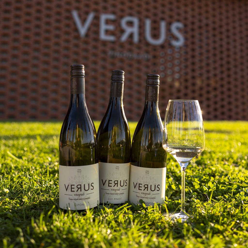 Alla scoperta della Prlekija tra vino e relax 11 Gli ottimi vini della cantina Verus a Ormož in Prlekija.