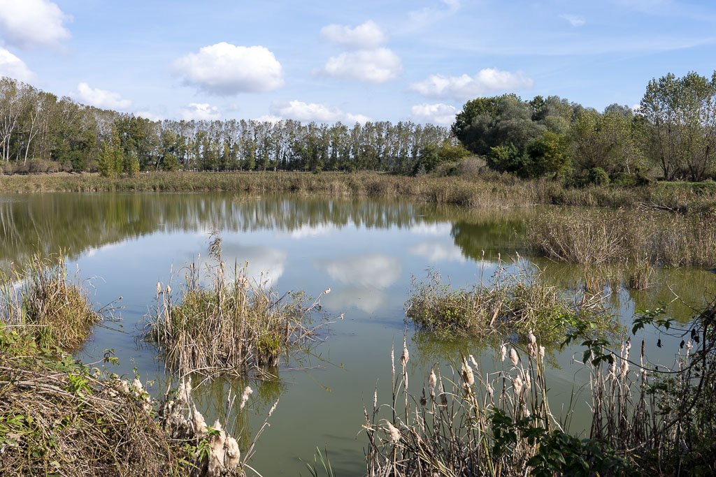 Alla scoperta della Prlekija tra vino e relax 17 Uno dei laghi artificiali che compongono le Ormoške lagune.