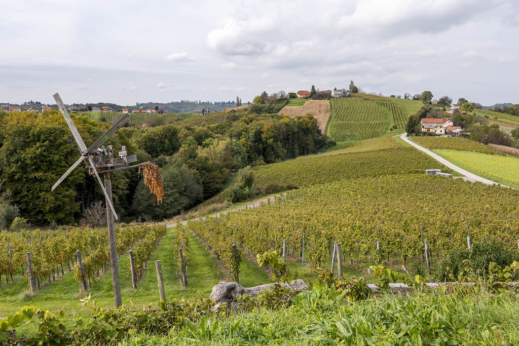 Alla scoperta della Prlekija tra vino e relax 23 La magnifica vista sui vigneti della Prlekija dalla fattoria Püklavec.
