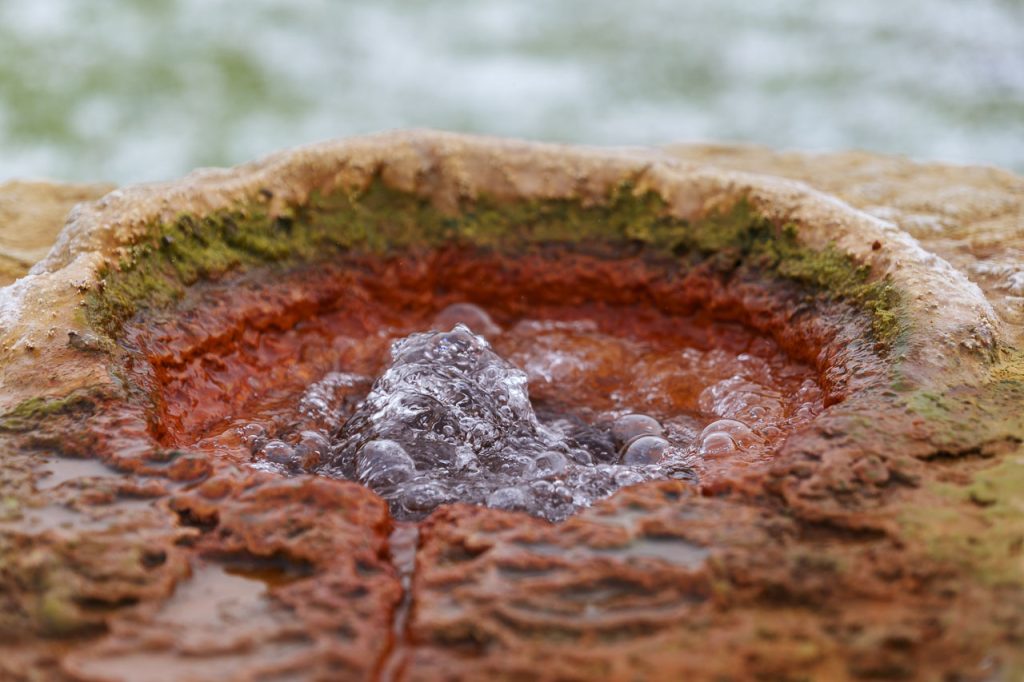 Slovenske gorice: un mondo da scoprire nella Slovenia orientale 13 L'acqua termale sgorga dalla fontana di Benedikt.