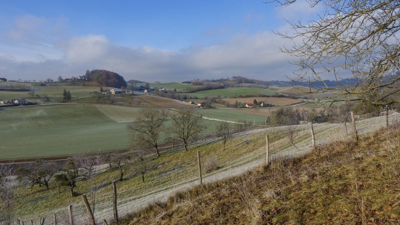 Slovenske gorice: un mondo da scoprire nella Slovenia orientale 17 Il dolce paesaggio delle Slovenske gorice.