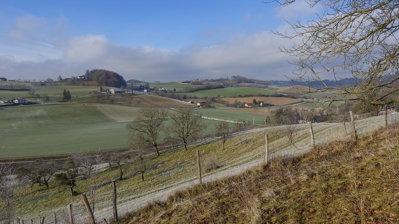 Il dolce paesaggio delle Slovenske gorice.
