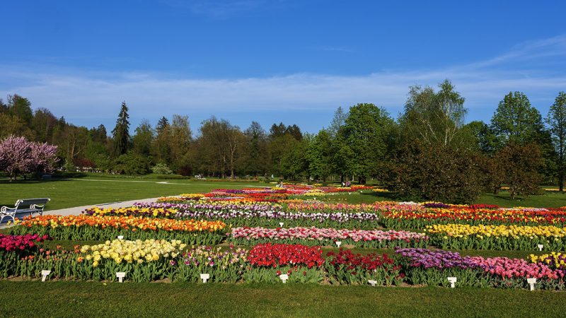 Arboretum di Volčji Potok: il paradiso della botanica 29 Il meraviglioso Arboretum di Volčji Potok.