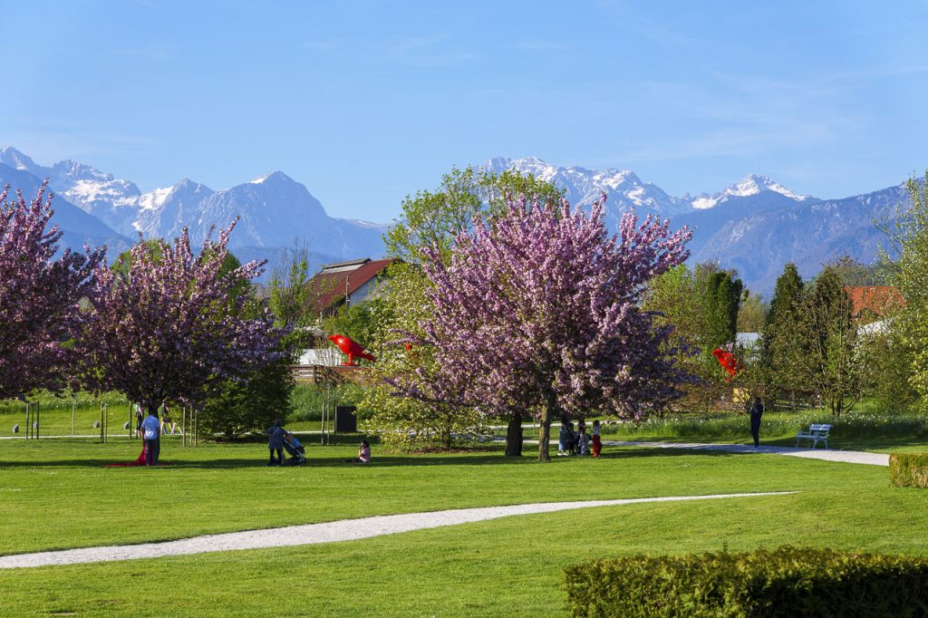 Arboretum di Volčji Potok: il paradiso della botanica 6 Le alpi di Kamnik fanno da sfondo all'Arboretum