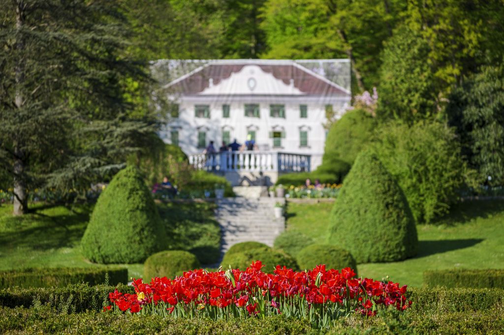 Arboretum di Volčji Potok: il paradiso della botanica 4 Solo una sagoma resta oggi dell'antica residenza nobiliare.