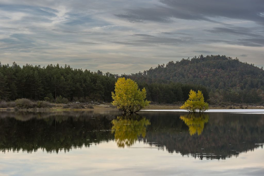 Il Petelinjsko jezero in autunno.