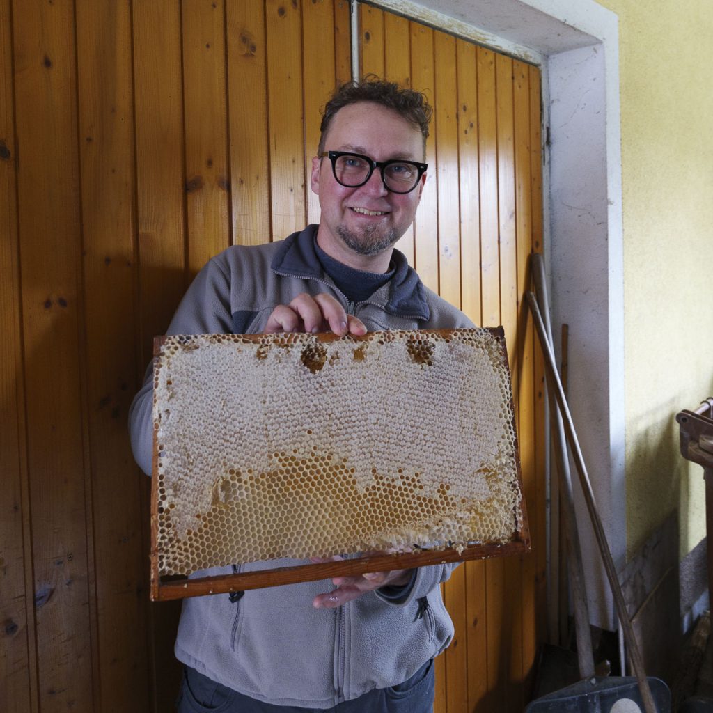 Damjan Šalamun ci mostra un favo delle sue api.