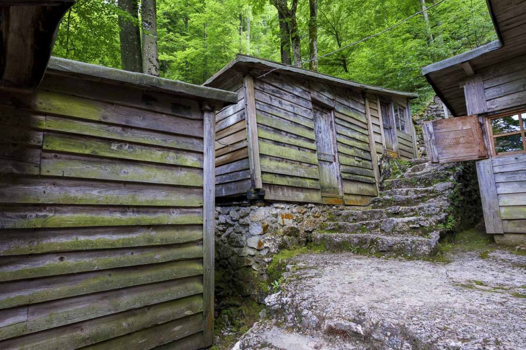 La formidabile tipografia partigiana "Slovenija", uno straordinario monumento storico nascosto nei boschi 4 Le baracche in legno della tipografia partigiana "Slovenija".