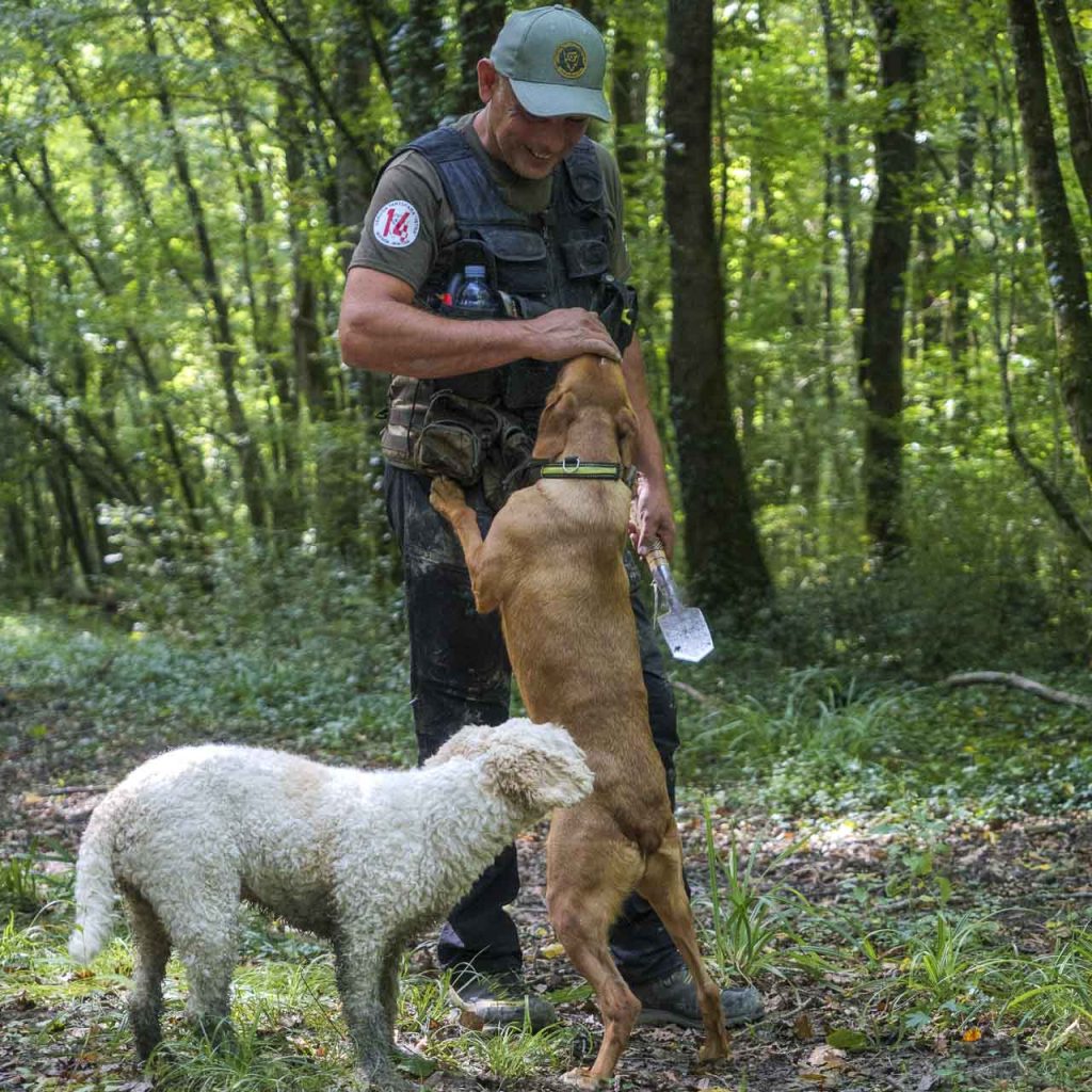 A caccia del sublime tartufo bianco istriano a Motovun – Montona 7 La complicità tra il tartufaio Goran Bartolić e i suoi cani.