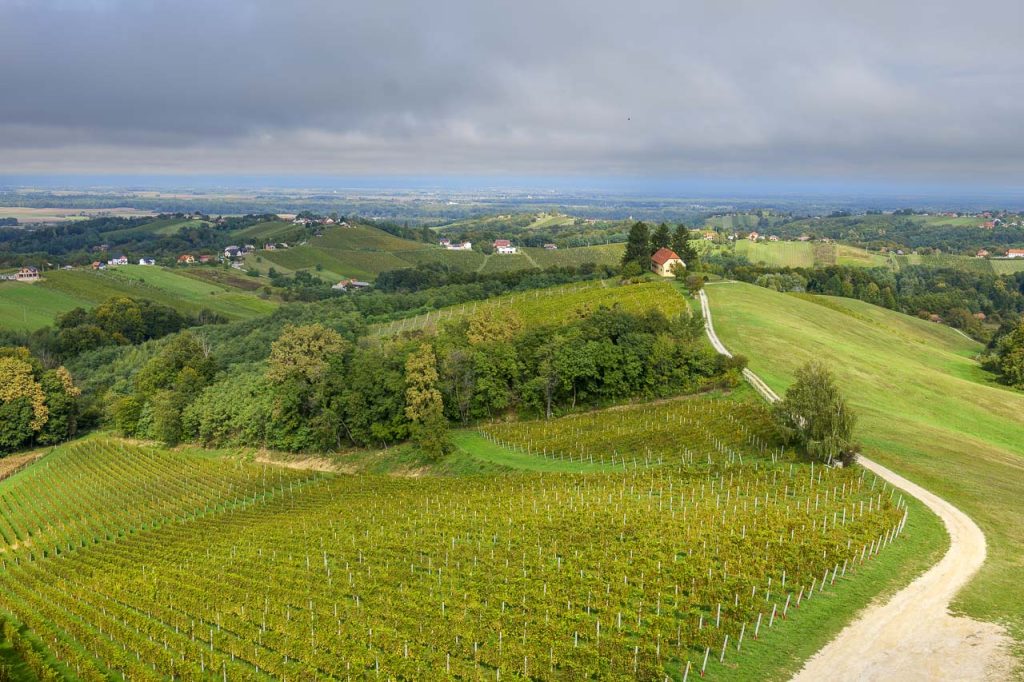 Le colline del Međimurje verso il Prekmurje sloveno e l'Ungheria.