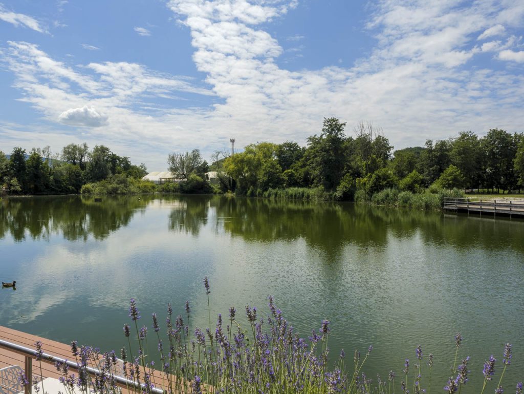 Tra cultura, natura e sport a Nova Gorica, Capitale Europea della Cultura 2025, e dintorni 14 Il lago di fronte al NOE Wine Bar & Restaurant.