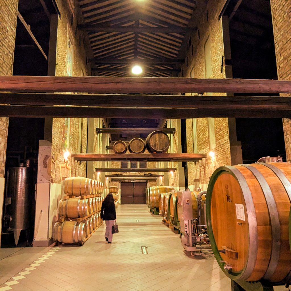 All'interno delle cantine dell'azienda vitivinicola Ca’ Tullio ad Aquileia.
cosa vedere vicino a Nova Gorica-Gorizia