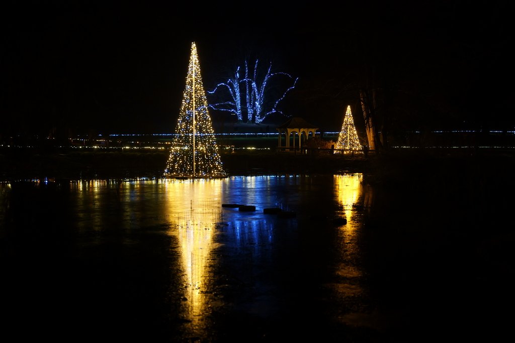 Cosa fare a Natale in Slovenia: attività ed eventi da non perdere 3 Riflessi sul lago con le luci di Natale dell'Arboretum.