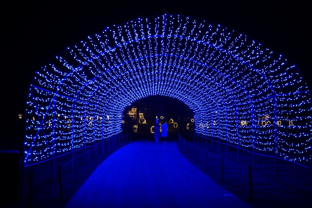Cosa fare a Natale in Slovenia: attività ed eventi da non perdere 4 Un tunnel di lugi cangianti all'Arboretum.