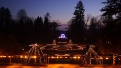 Natale: un periodo magico per visitare la Slovenia - Arboretum.