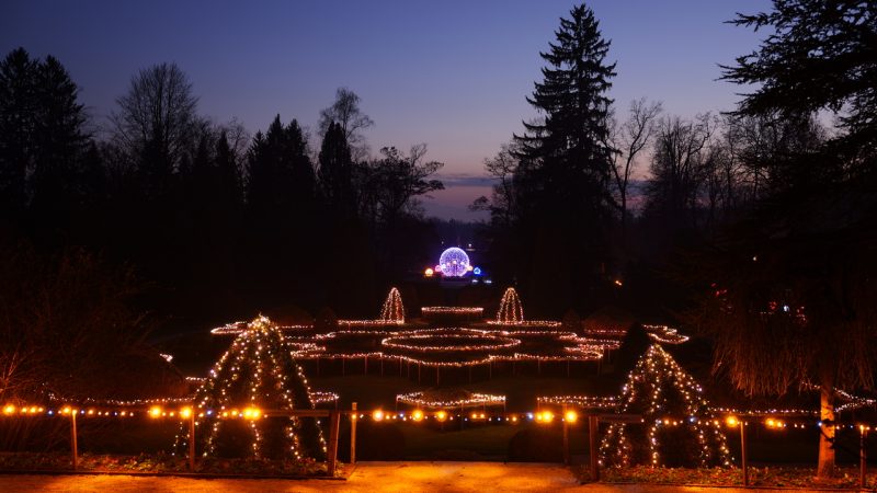 Natale: un periodo magico per visitare la Slovenia - Arboretum.