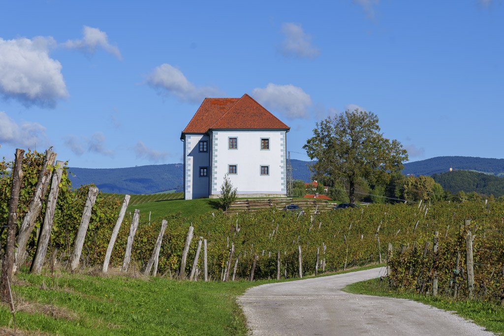 Gli splendidi vigneti di Zlati Grič a Slovenske Konjice.