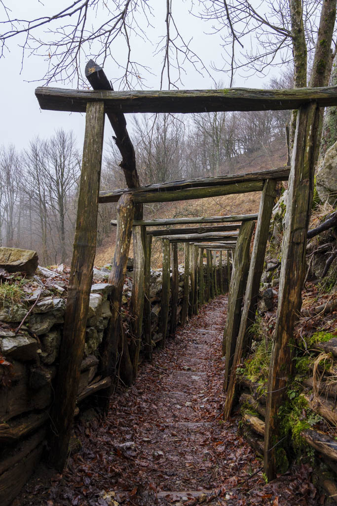 Trincee della grande guerra sul monte Kolovrat.