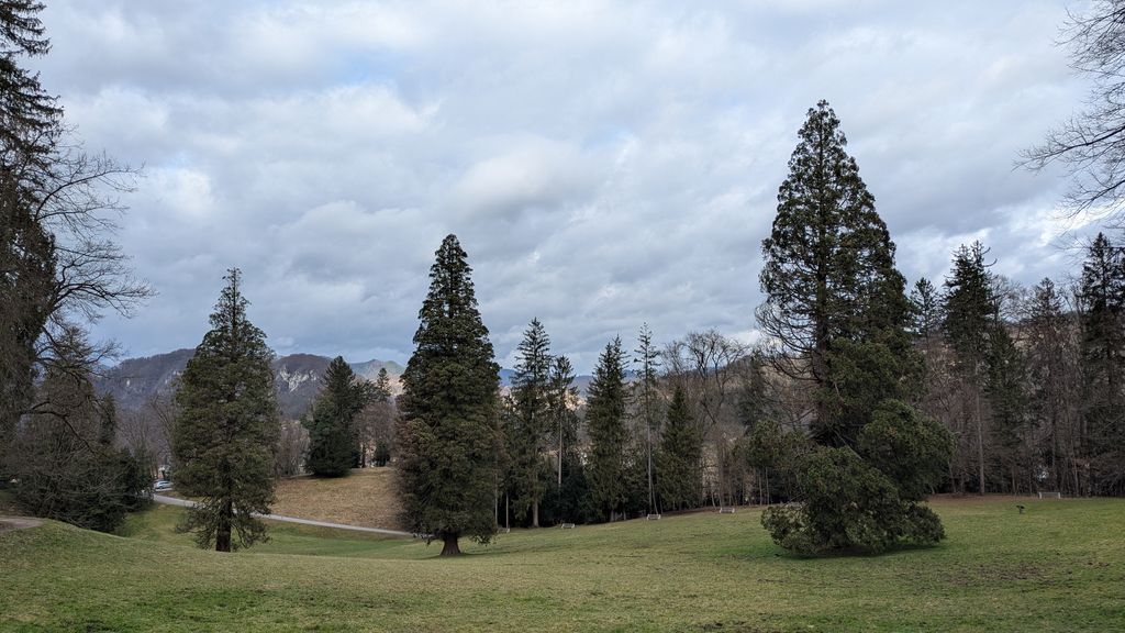 Il bellissimo parco delle Rimske terme con le sequoie giganti.