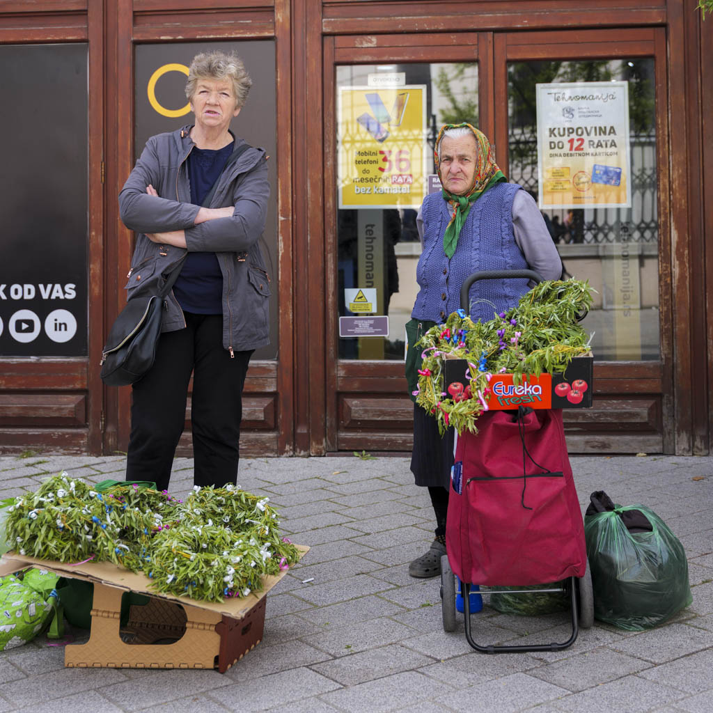Alla scoperta della Serbia a Belgrado e dintorni 30 SIgnore vendono coroncine di fiori per la festa di "cveti" a Novi Sad.
Alla scoperta della Serbia.