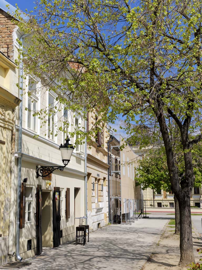 Alla scoperta della Serbia a Belgrado e dintorni 36 Passeggiando per Sremski Karlovci.
Alla scoperta della Serbia.